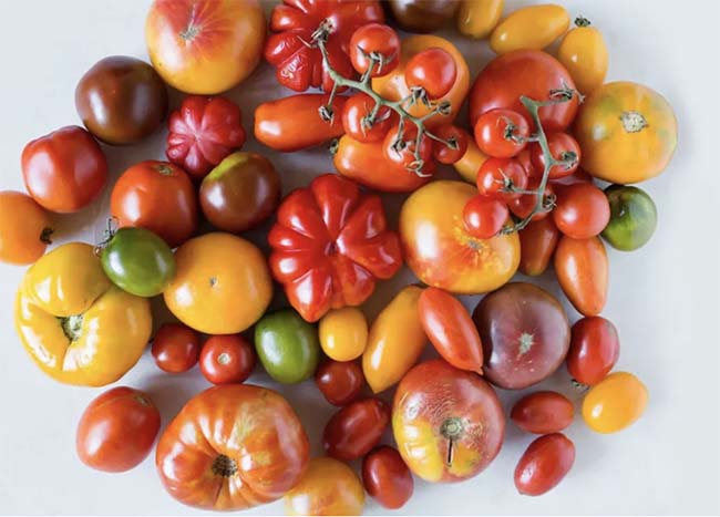 Essential Types of Tomatoes for Every Homegrown Garden